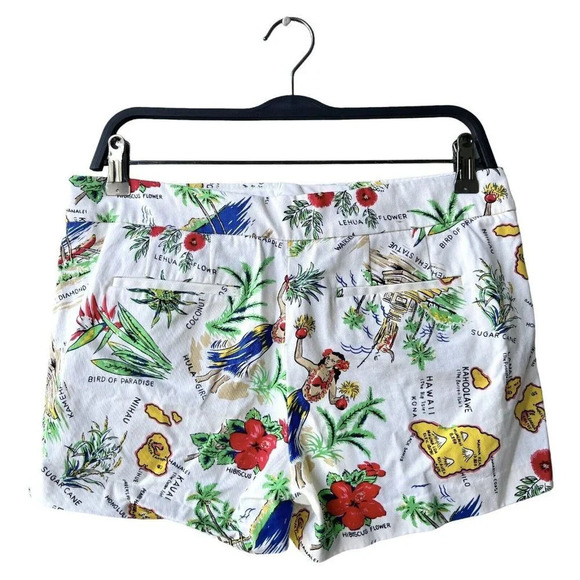 J. Crew Factory Hawaii Print City Fit Chino Shorts Size 2 Fun Island Geography - Picture 3 of 4
